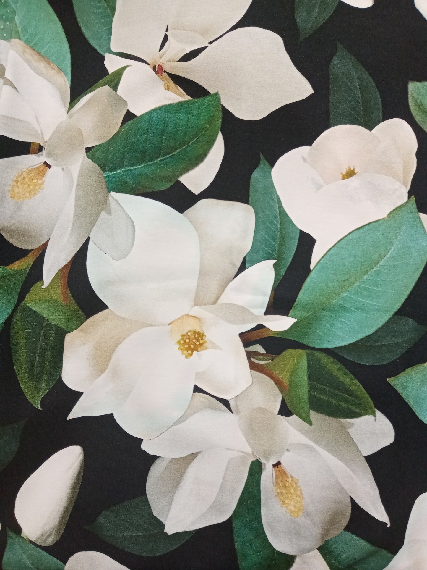 Isot Magnoliat, trikoo