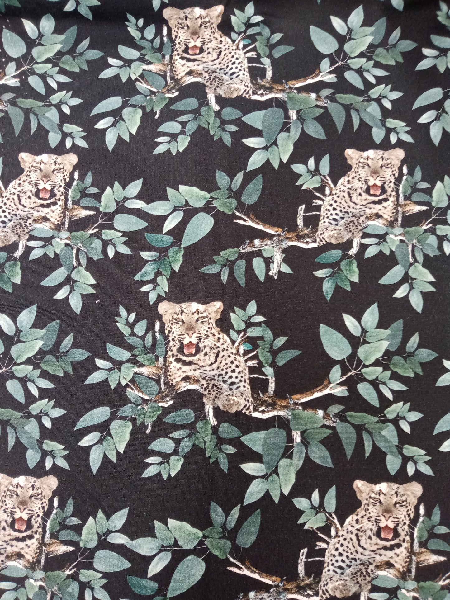 Leopardit, joustocollege