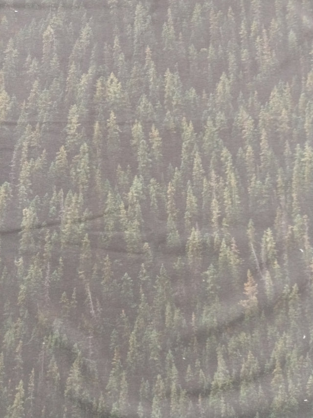 Metsä, joustocollege