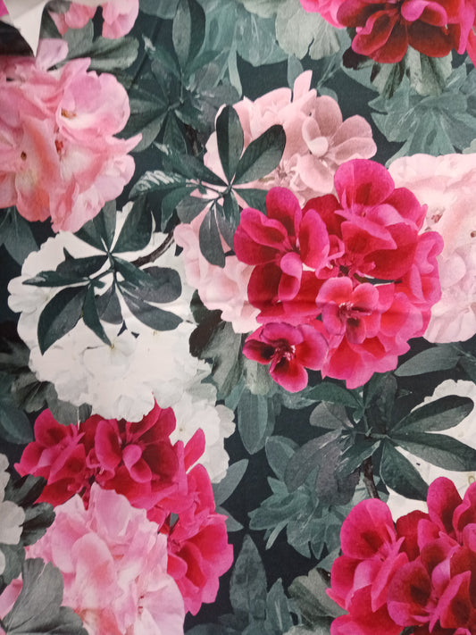 Vanha Pelargonia