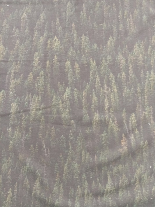Metsä, joustocollege